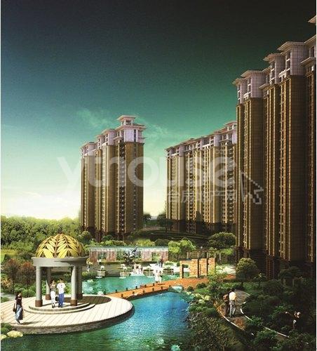 实景图